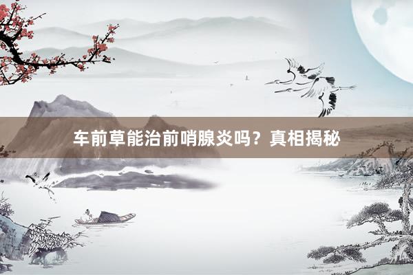 车前草能治前哨腺炎吗？真相揭秘